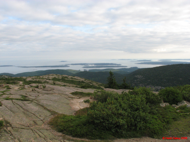 AcadiaNP -203