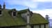 Gulls on a hot tin roof #2