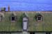 Gulls on a hot tin roof #3