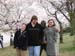 DC Cherry Blossoms 2008 -135