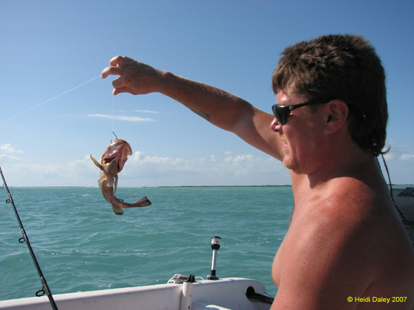 Kipp & Fish