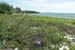Boca Chica Road 1