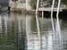 Canal Behind Kipp's