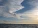 Seagull 12