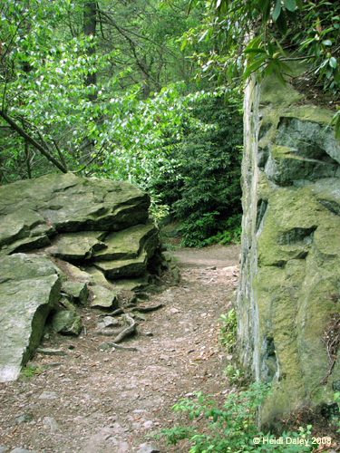 Lehigh Gorge -002-1