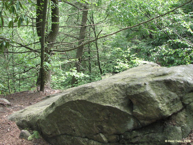 Lehigh Gorge -003