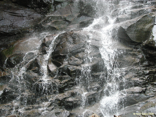Lehigh Gorge -050