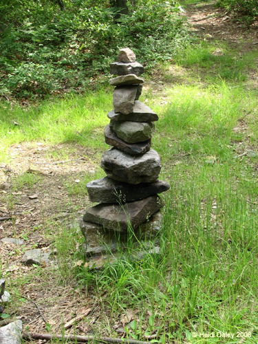 Lehigh Gorge -078