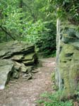 Lehigh Gorge -002-1