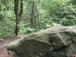 Lehigh Gorge -003