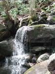 Lehigh Gorge -007