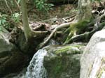 Lehigh Gorge -009-1