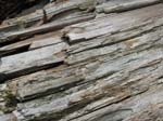 Lehigh Gorge -022