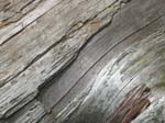 Lehigh Gorge -023