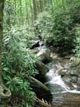 Lehigh Gorge -026-1