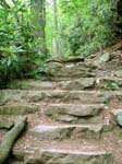 Lehigh Gorge -033-1