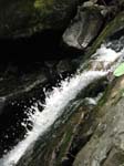 Lehigh Gorge -034