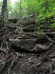 Lehigh Gorge -047