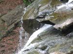 Lehigh Gorge -058