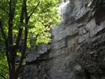 Lehigh Gorge -064