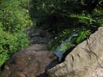 Lehigh Gorge -067