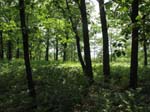 Lehigh Gorge -087