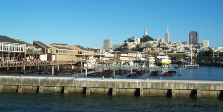 Fisherman's wharf