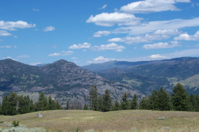 Vista