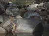River 3