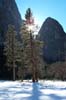 Yosemite 1