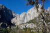 Yosemite Falls 1