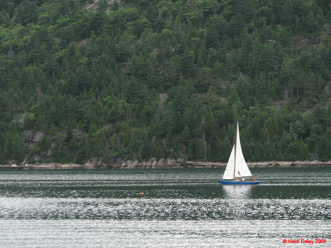 AcadiaNP -126