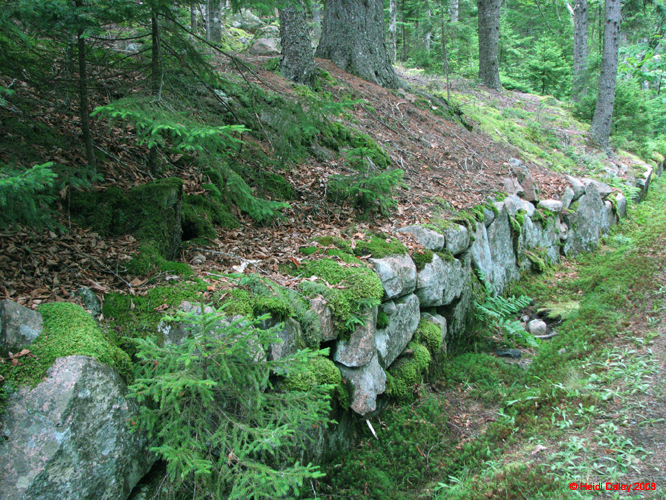 AcadiaNP -142-1