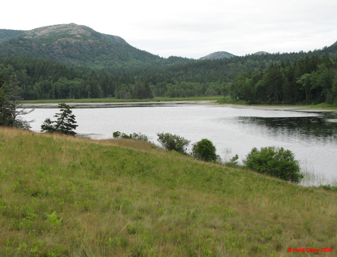 AcadiaNP -144-1
