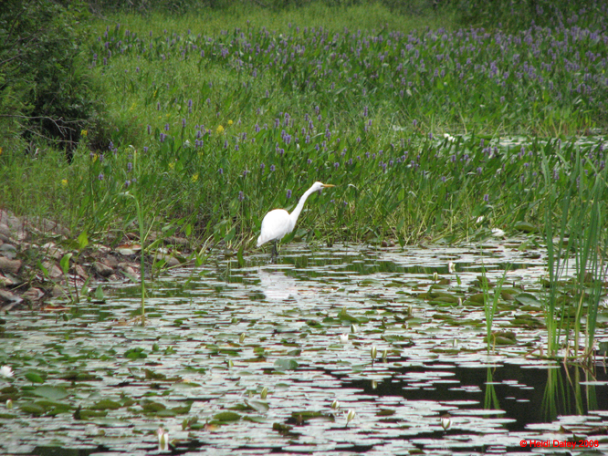 AcadiaNP -149