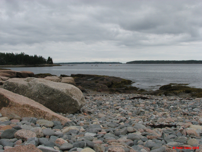 AcadiaNP -163
