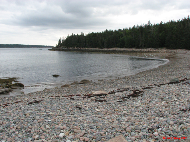 AcadiaNP -164
