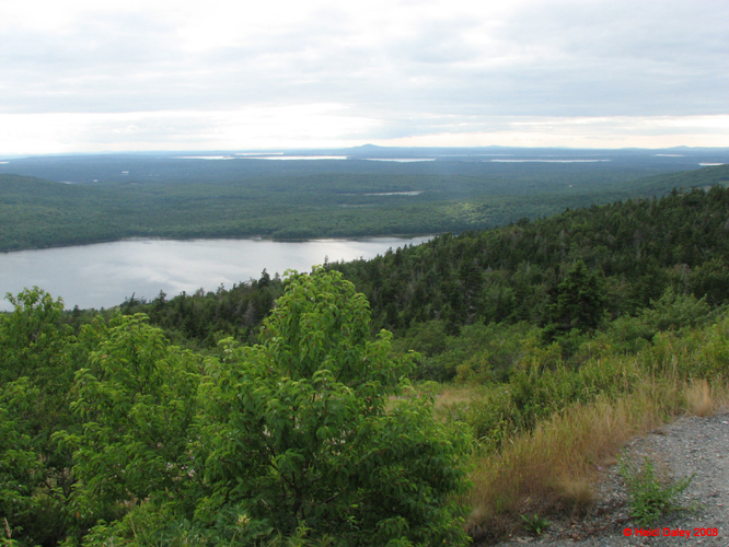 AcadiaNP -173-1