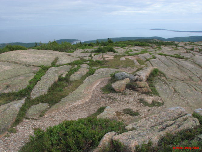 AcadiaNP -205