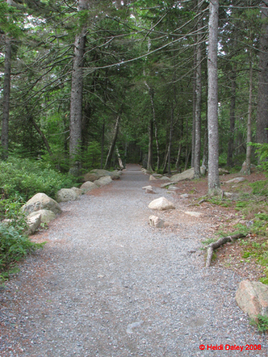 AcadiaNP-hike -008