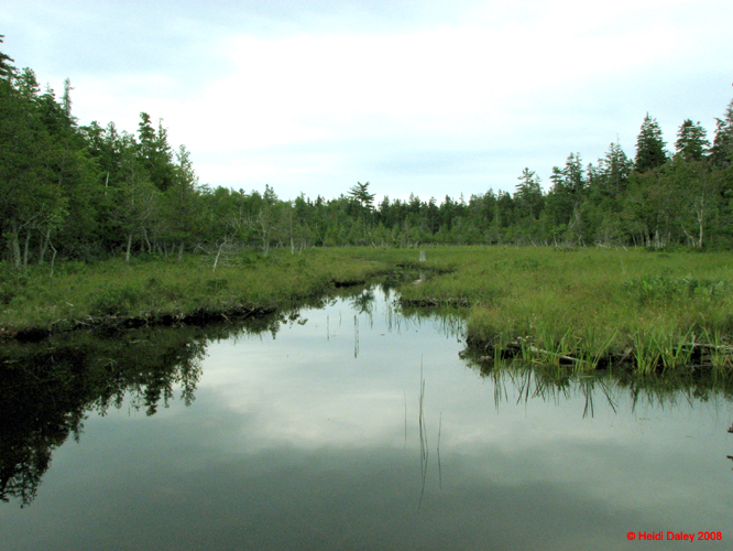 AcadiaNP-hike -013-1