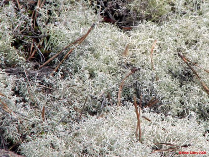 AcadiaNP-hike -044-1