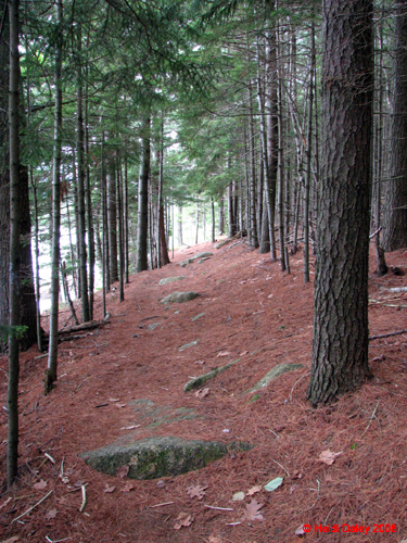 AcadiaNP-hike -072-1