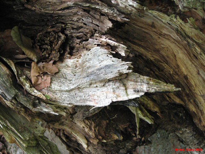 AcadiaNP-hike -077