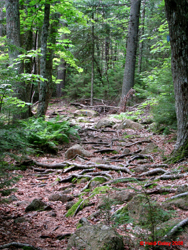 AcadiaNP-hike -078-1