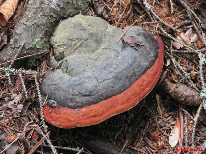 AcadiaNP-hike -083