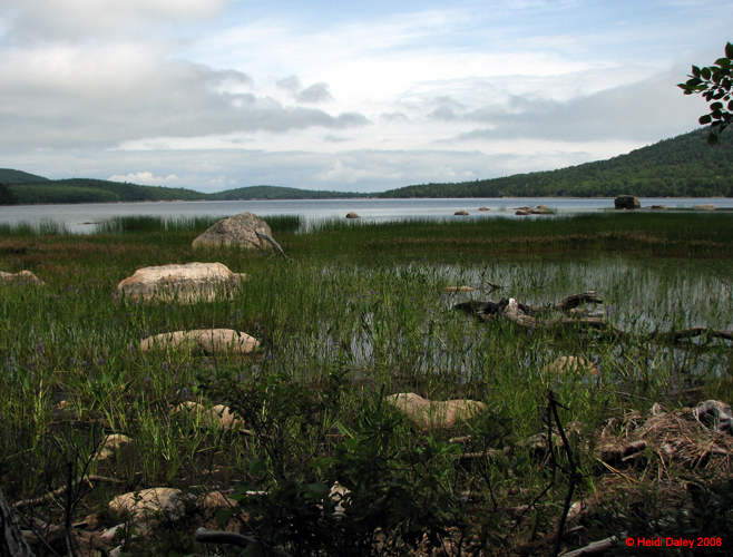 AcadiaNP-hike -085-1
