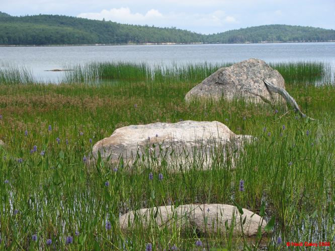 AcadiaNP-hike -088