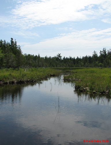 AcadiaNP-hike -111-1