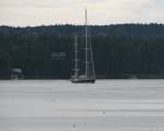 AcadiaNP -127-1